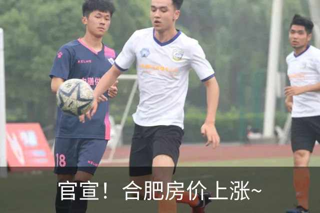 官宣！合肥房价上涨~